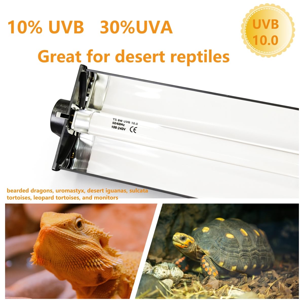 8W T5 UVB UVA Reptile Light Fixture and Bulb Kit J4980