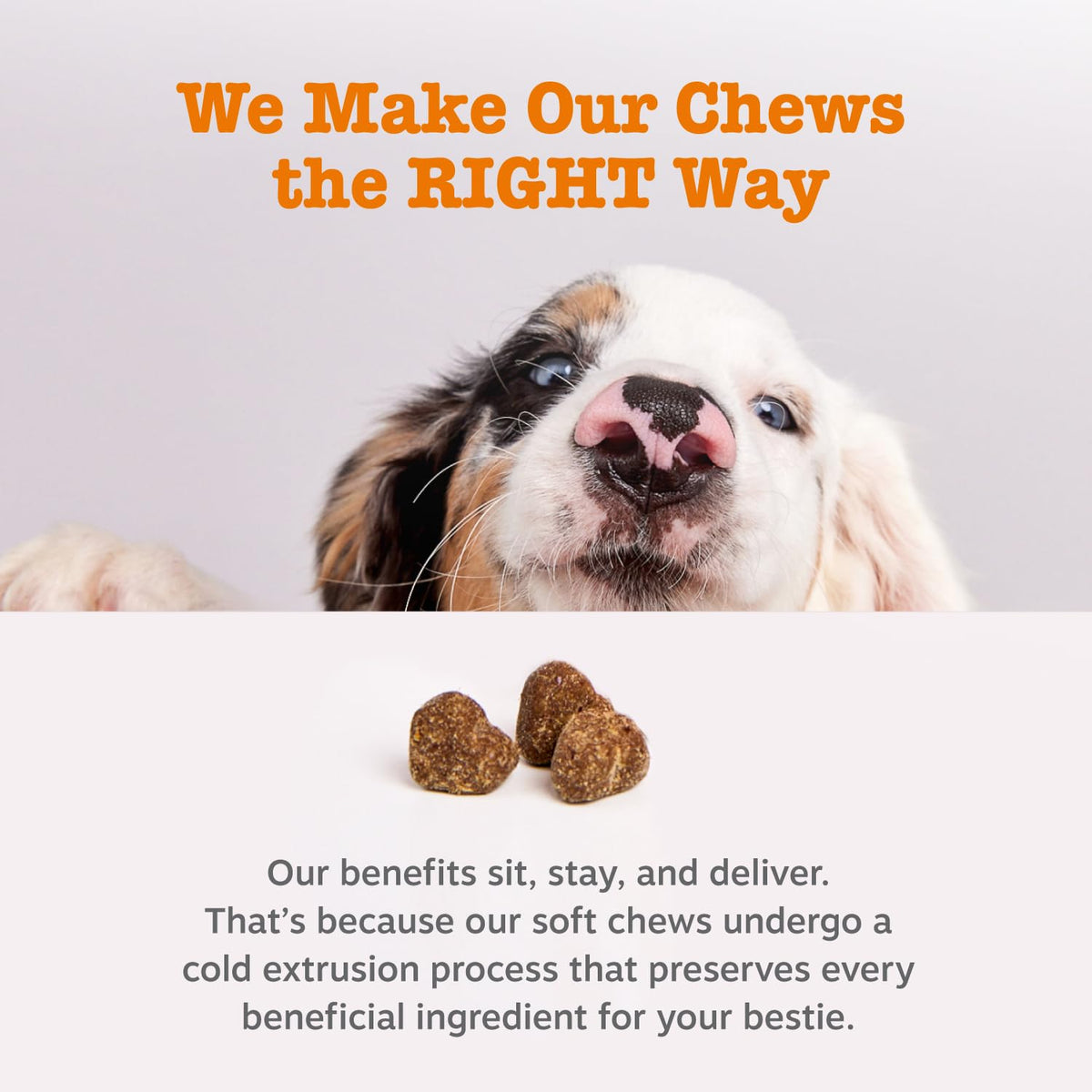 90 Count Dog Weight Management Supplement C62494
