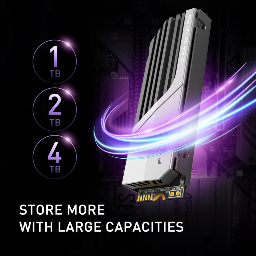 4TB PCIe Gen4 M.2 2280 SSD with PS5 Heatsink B202733