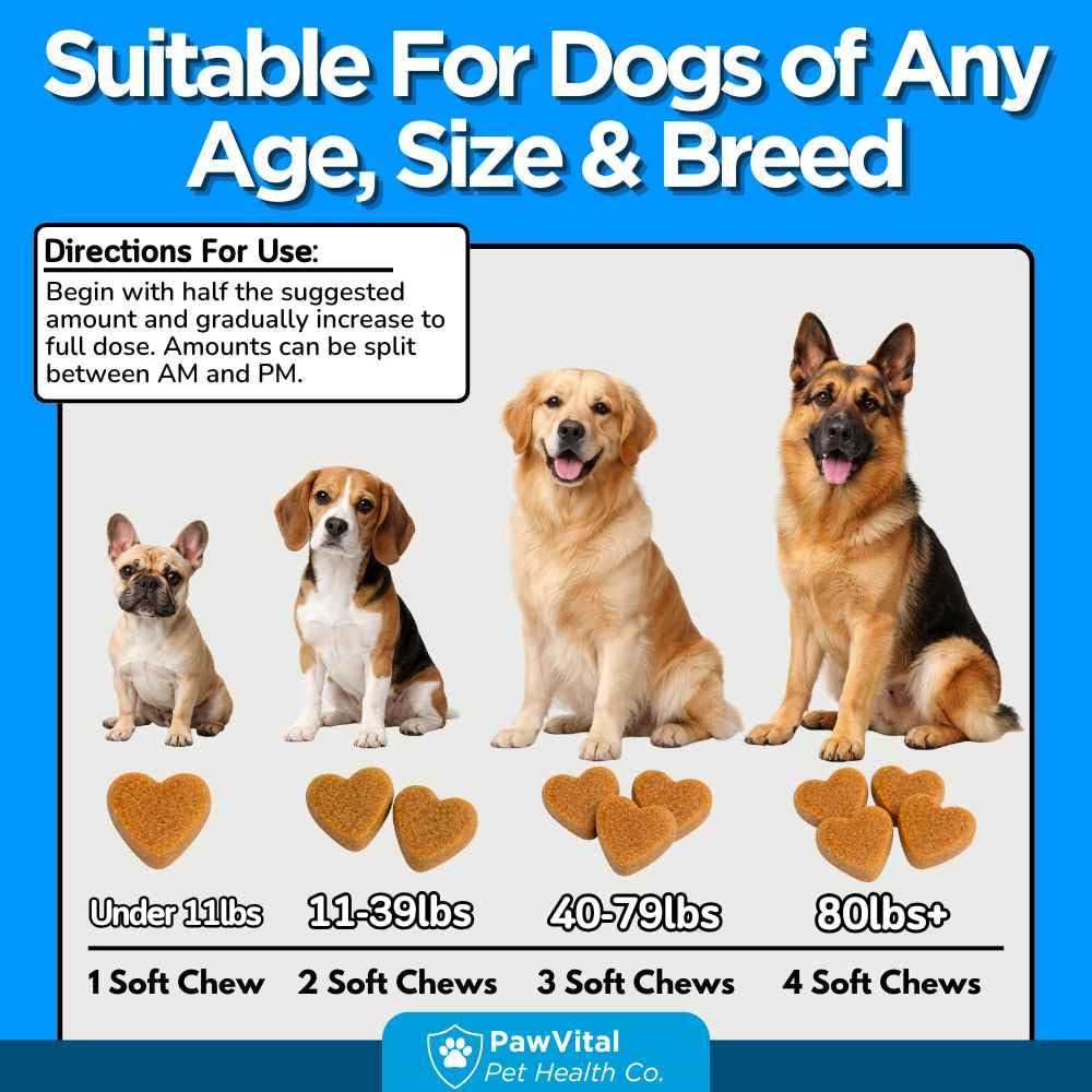 Flea and Tick Prevention for Dogs Chewables 150 Soft Chews Chicken Flavor A754