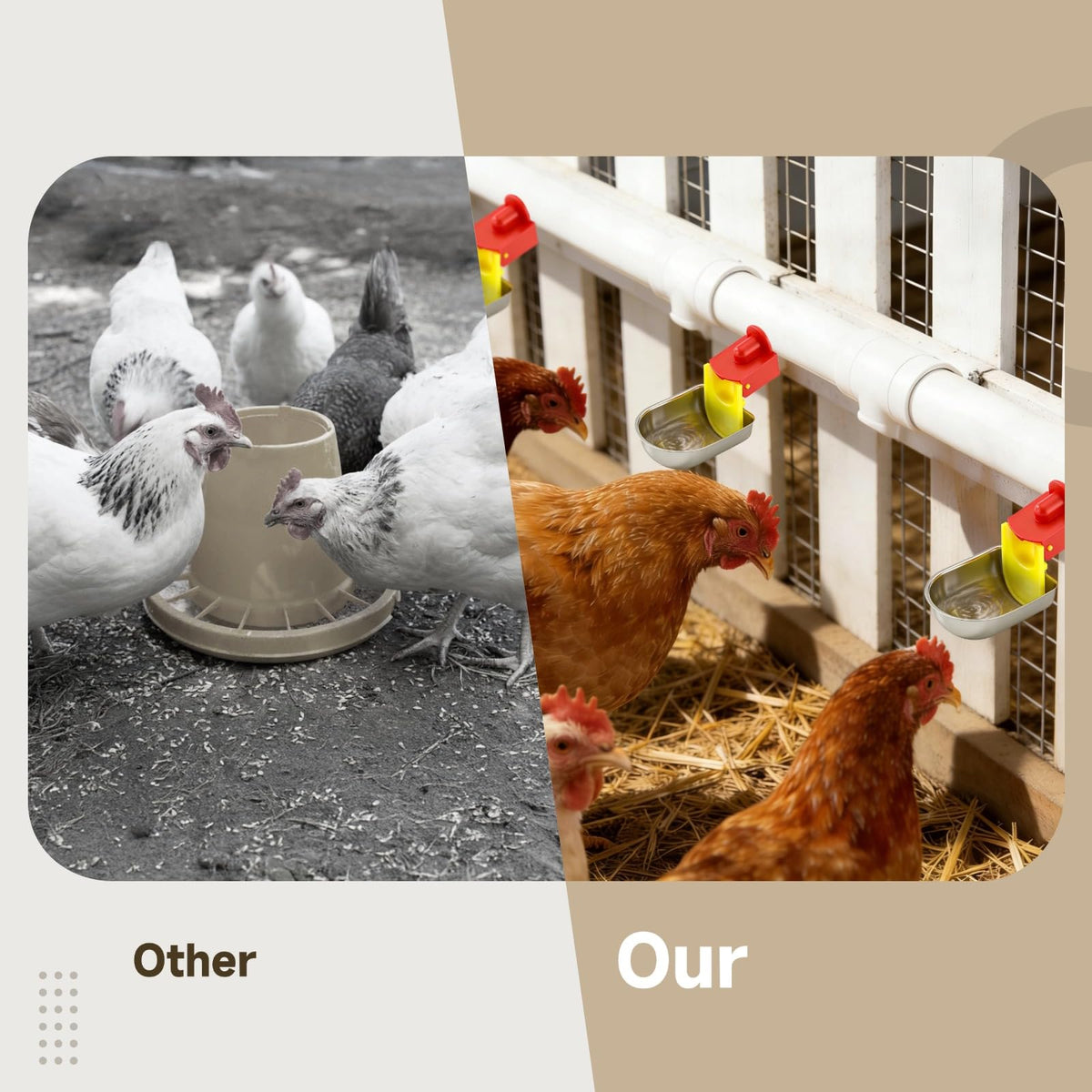 12 Pcs Stainless Self-Filling Chicken Water Cups N493811