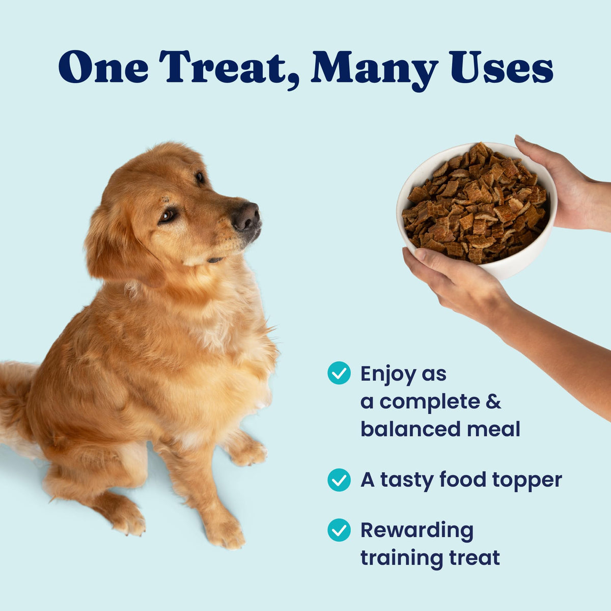 Air Dried Dog Food Topper & Treats Beef 1lb I4228