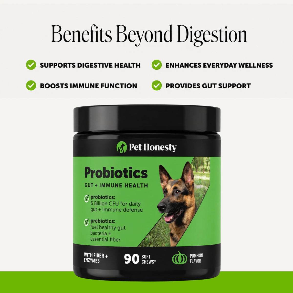 Dog Probiotics Chews 90ct Pumpkin V7236