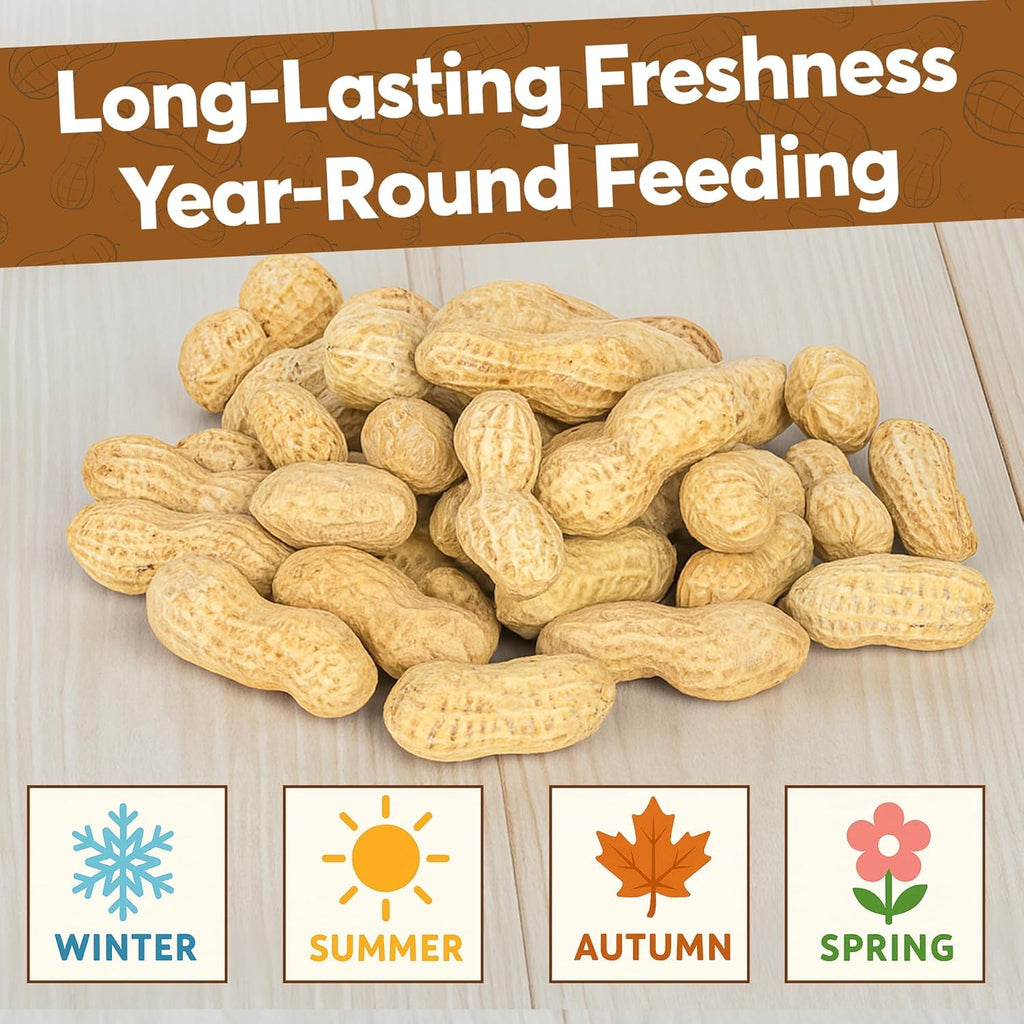 Raw Peanuts for Squirrels and Birds, 12 Pounds B705472
