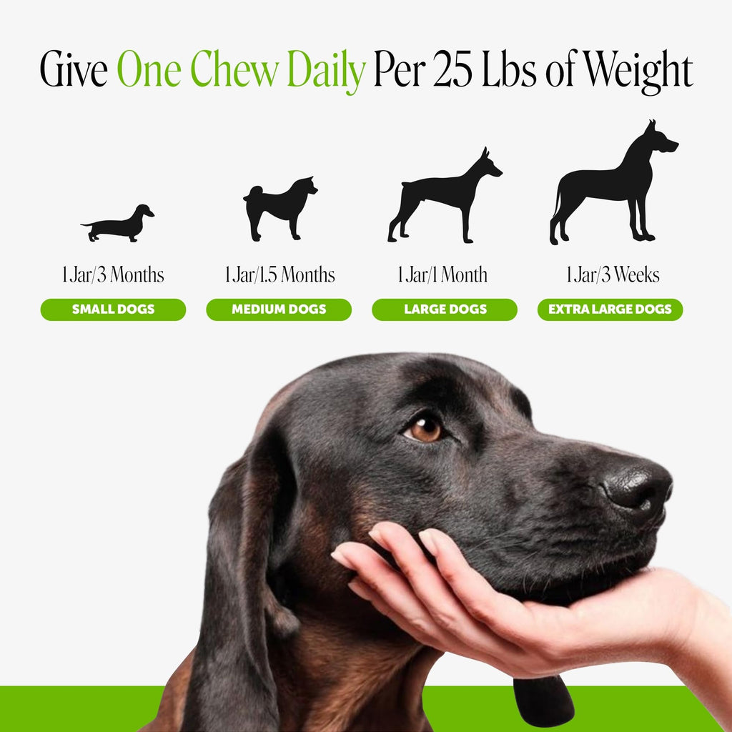 Dog Probiotics Chews 90ct Pumpkin V7236
