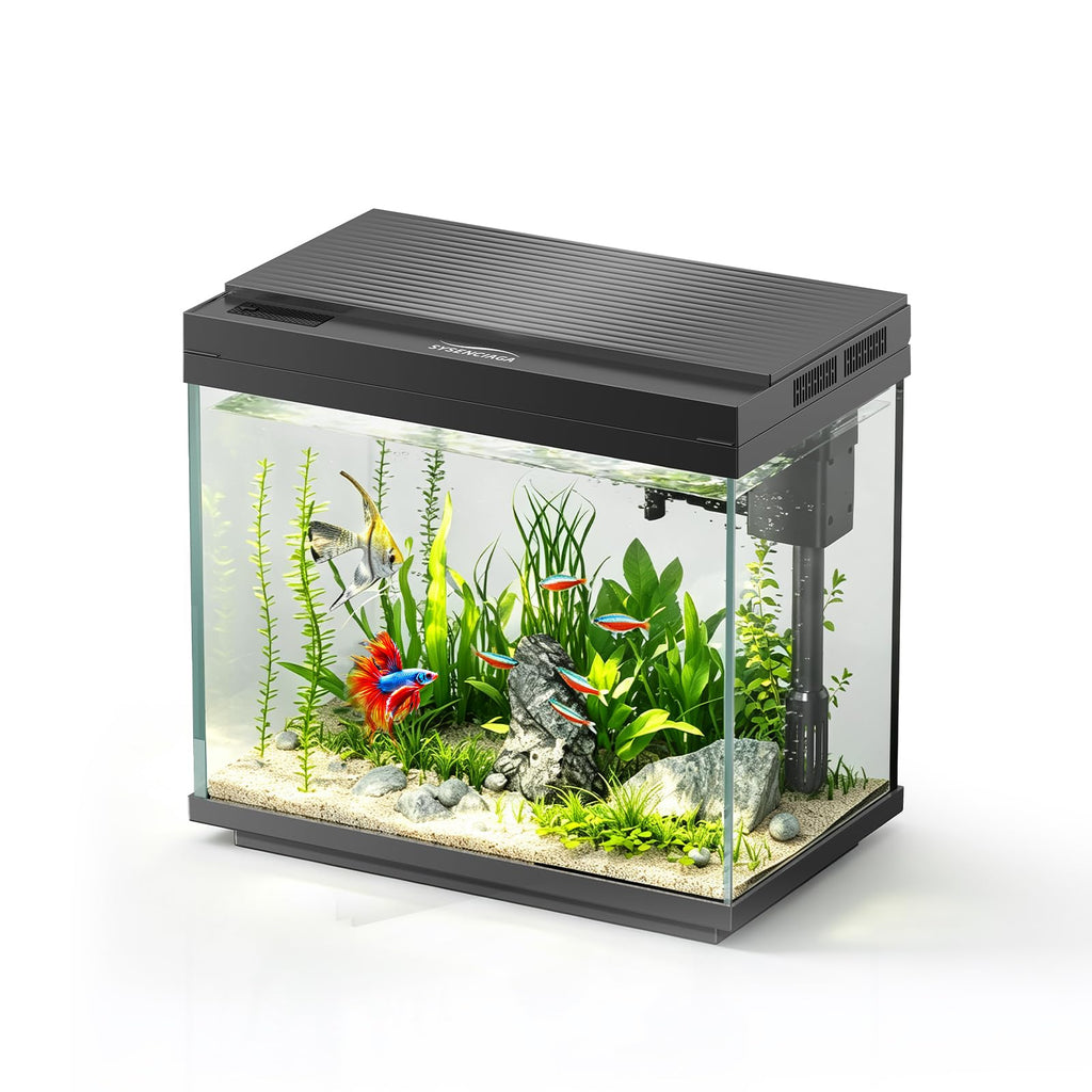 3 Gal Glass Fish Tank Kit with Filter & Light L63419
