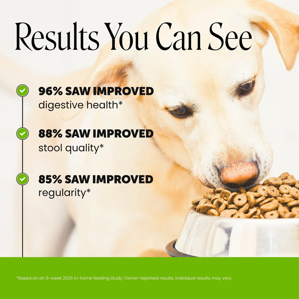 Dog Probiotics Chews 90ct Pumpkin V7236
