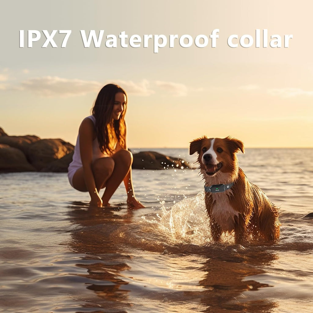 Wireless Dog Fence & Training Collar for 2 Dogs, IPX7 Waterproof, Black F92108