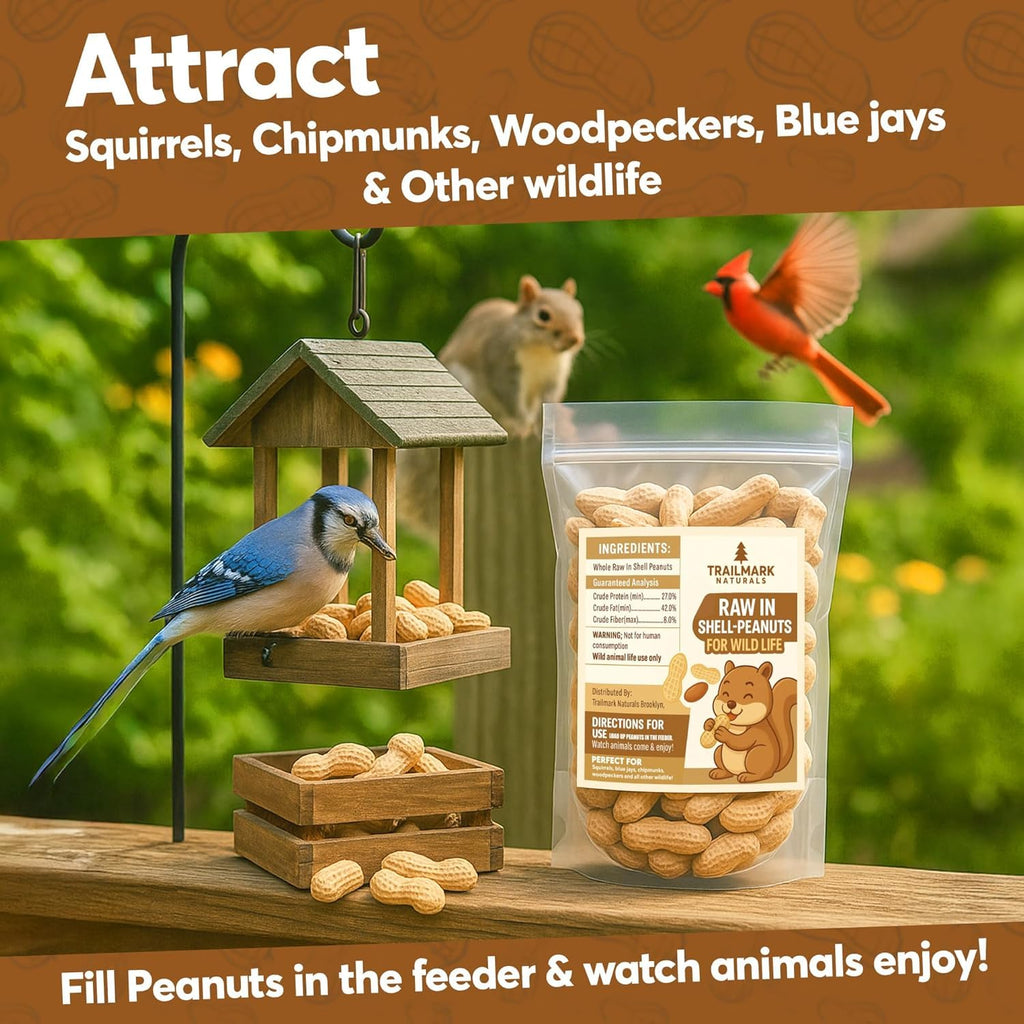 Raw Peanuts for Squirrels and Birds, 12 Pounds B705472