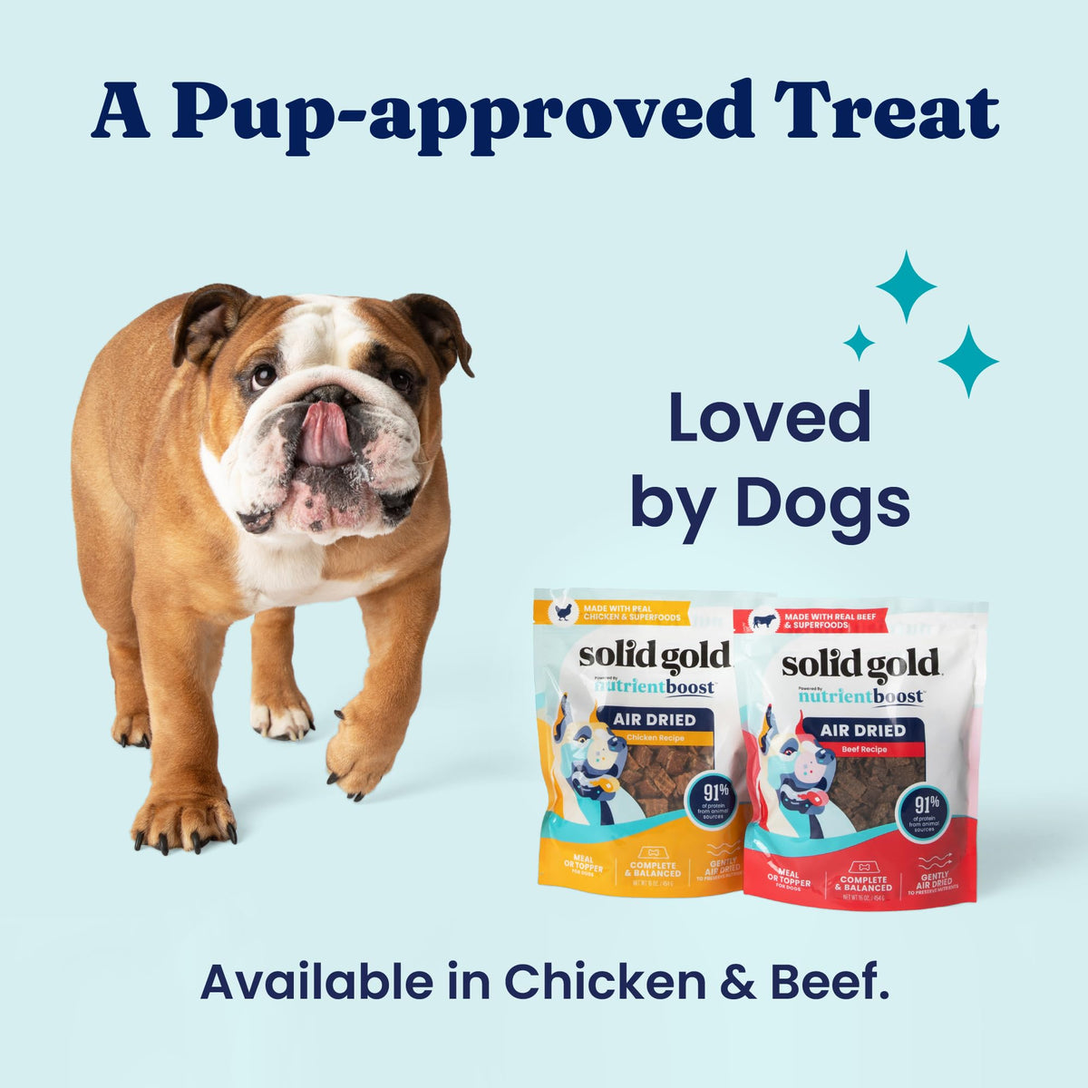 Air Dried Dog Food Topper & Treats Beef 1lb I4228