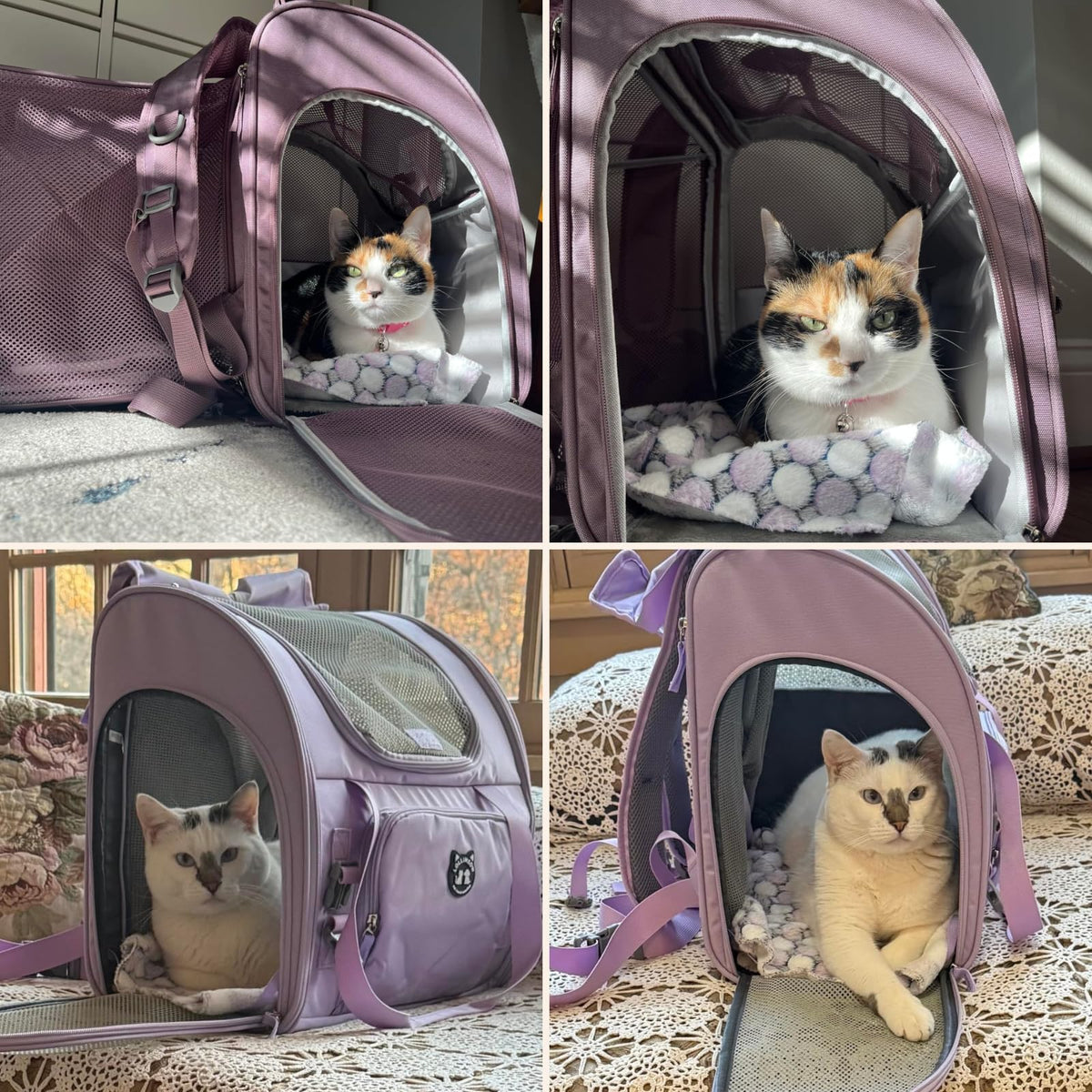 Expandable Large Cat Carrier Backpack V6749