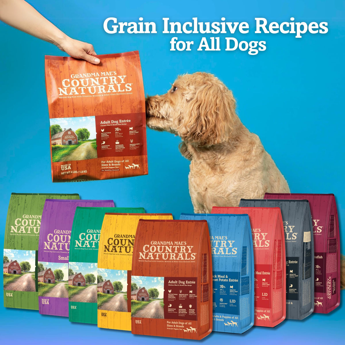 Chicken Fish & Brown Rice Dry Dog Food 32 LB Bag D386283