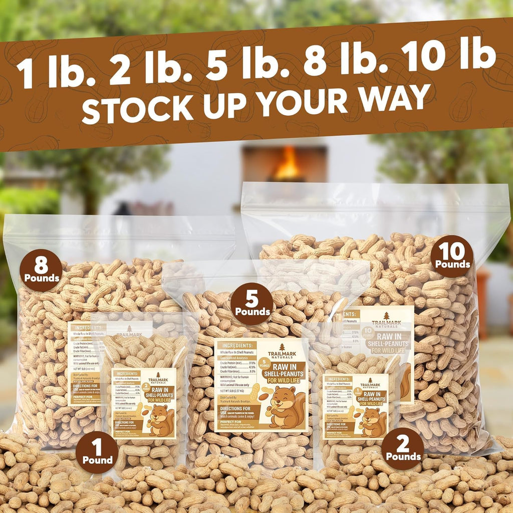 Raw Peanuts for Squirrels and Birds, 12 Pounds B705472