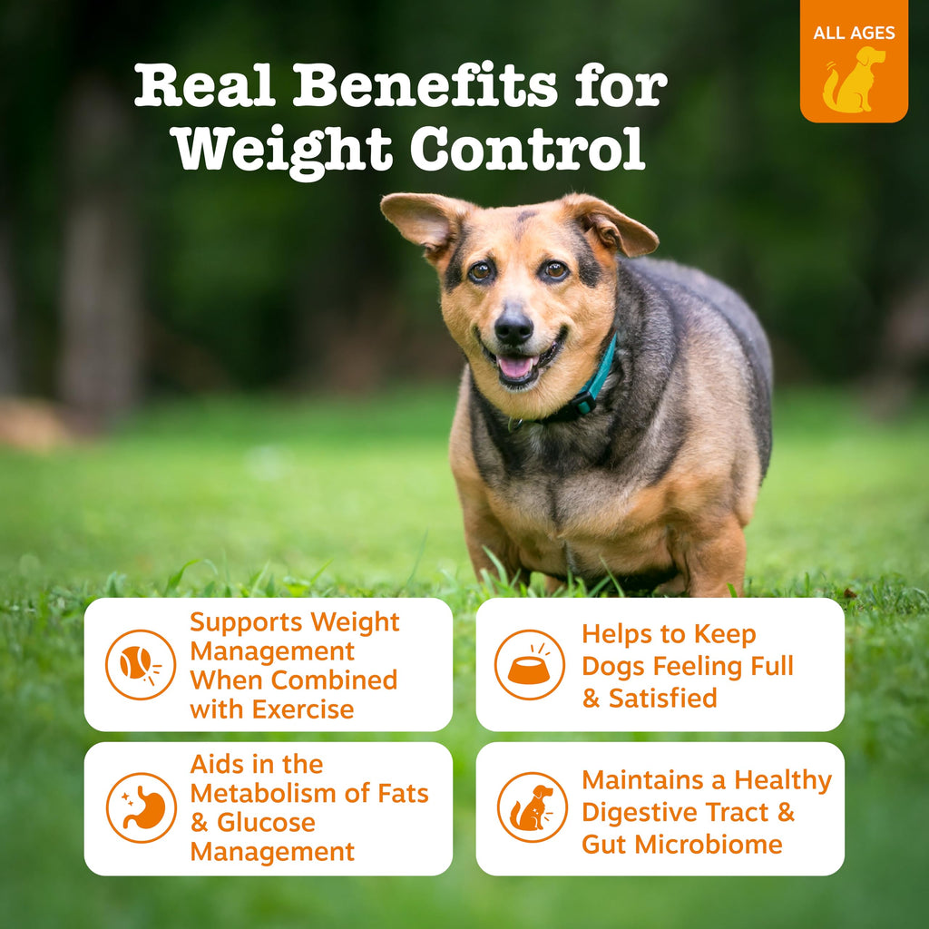 90 Count Dog Weight Management Supplement C62494