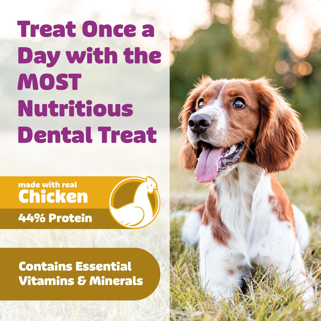 Chicken Dog Dental Treats Large 24oz & Medium 36 oz G259