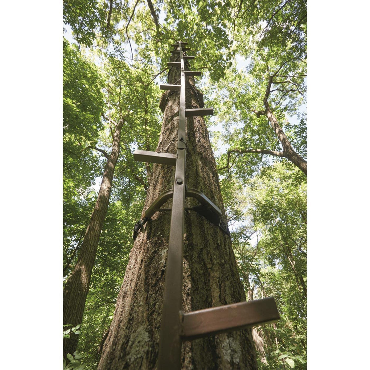 20' Rapid Climbing Sticks 4-Pack R6548