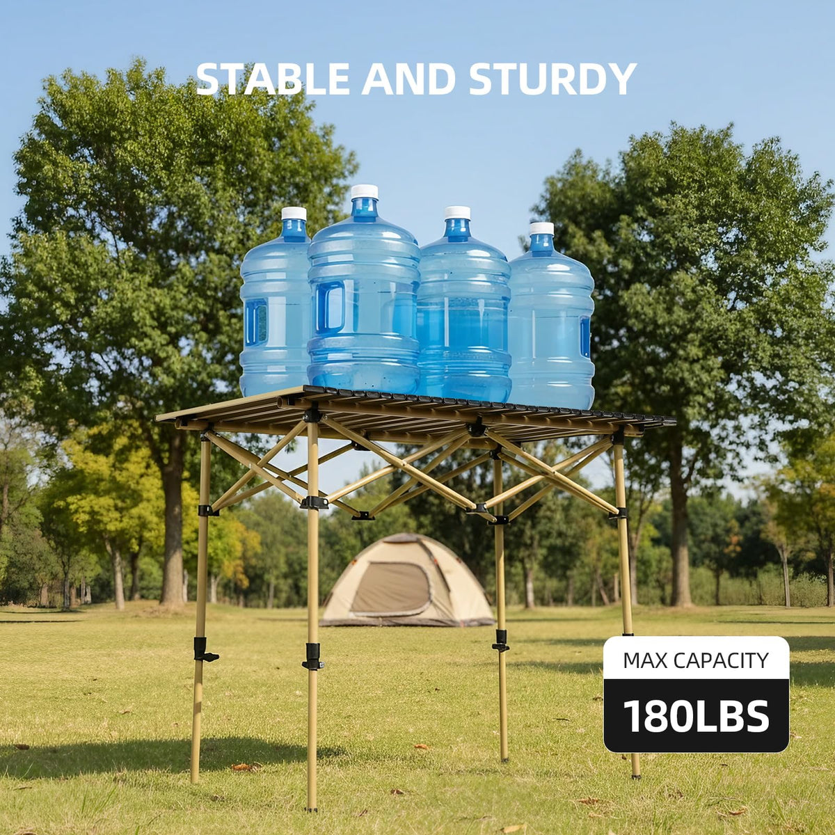 Folding Camping Table with Carry Bag F58246