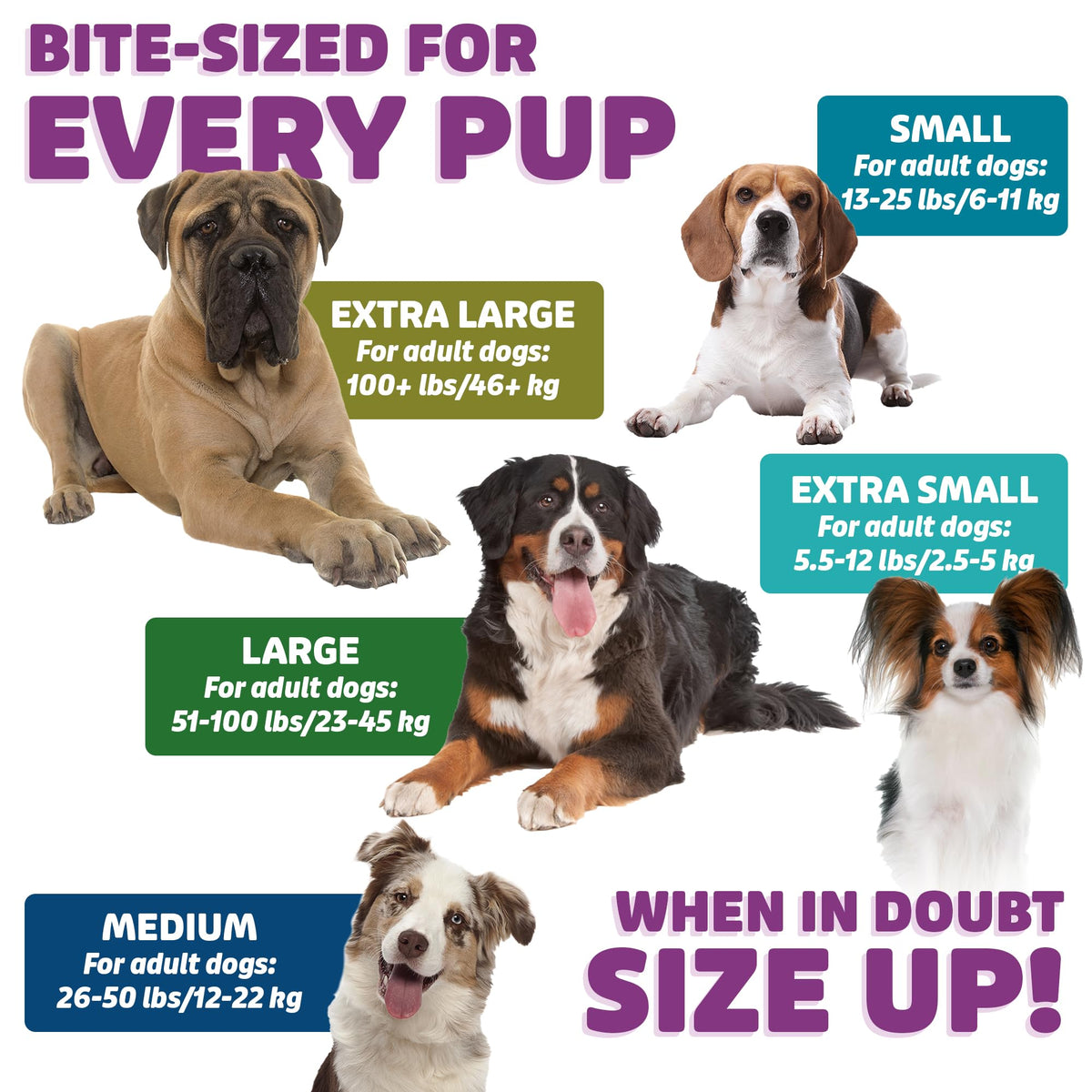 Chicken Dog Dental Treats Large 24oz & Medium 36 oz G259
