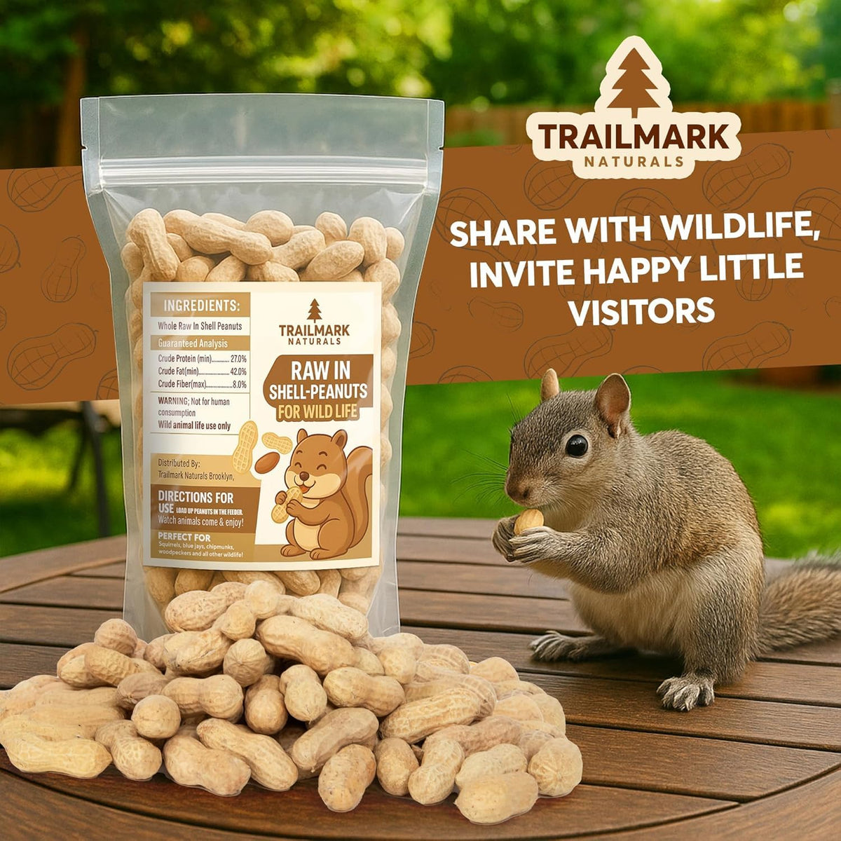 Raw Peanuts for Squirrels and Birds, 12 Pounds B705472