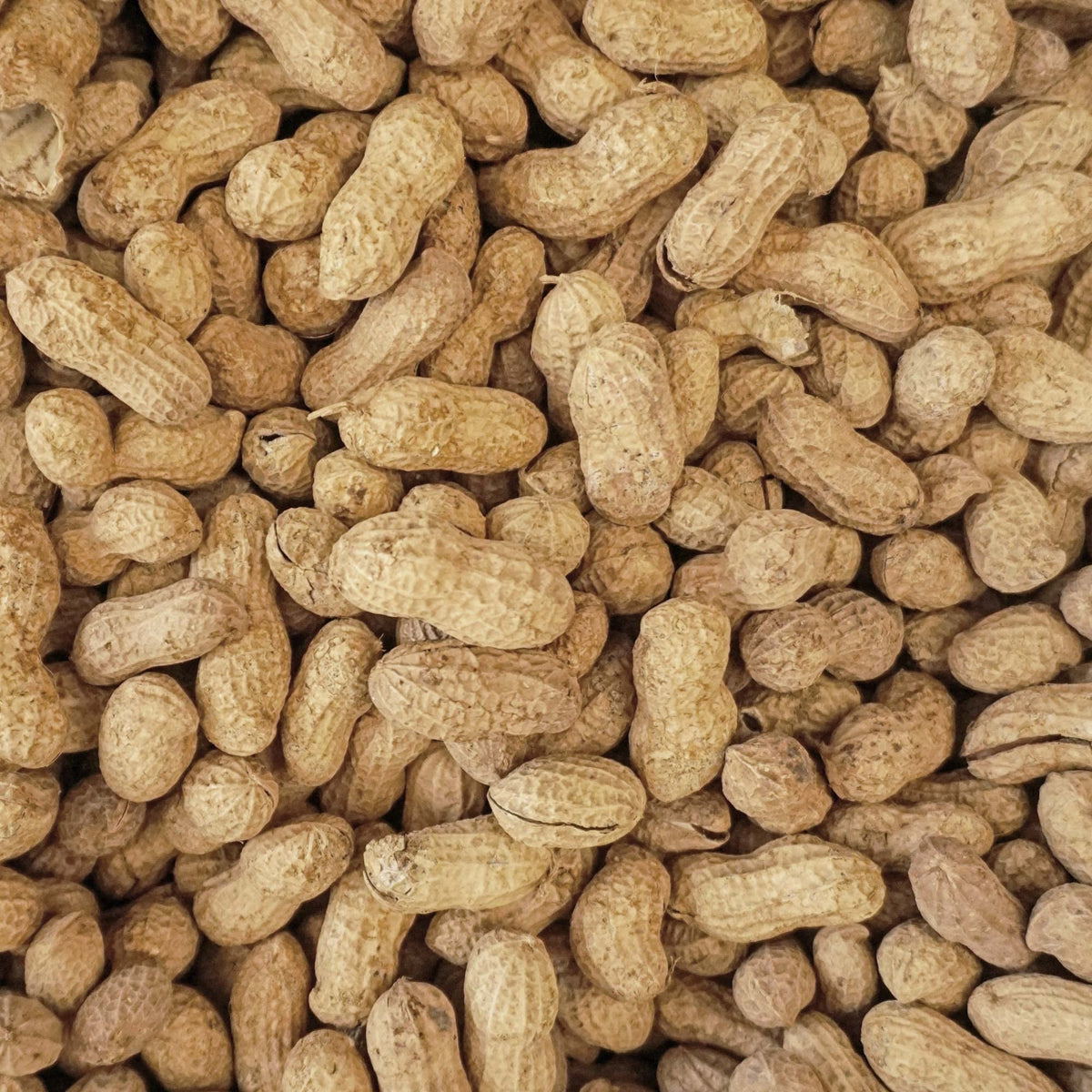 25 lb Animal Peanuts R94457