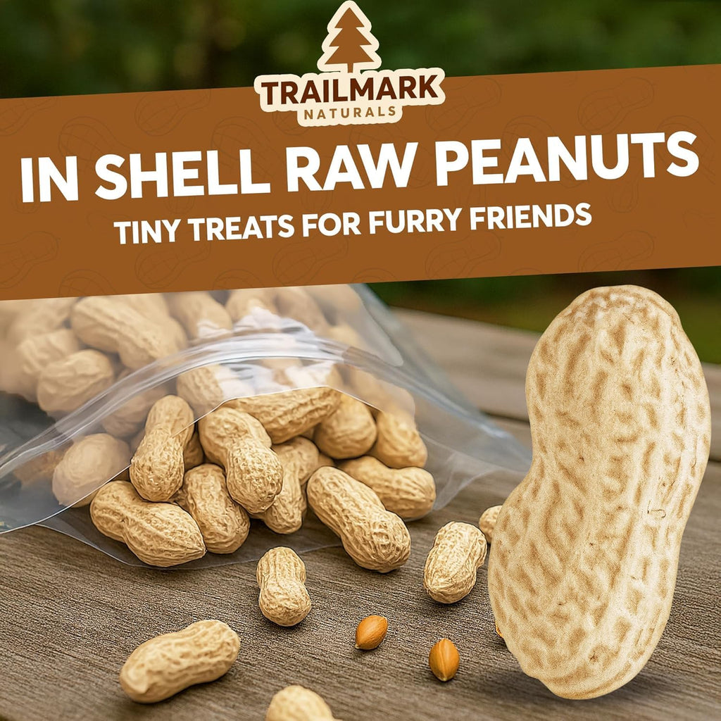 Raw Peanuts for Squirrels and Birds, 12 Pounds B705472