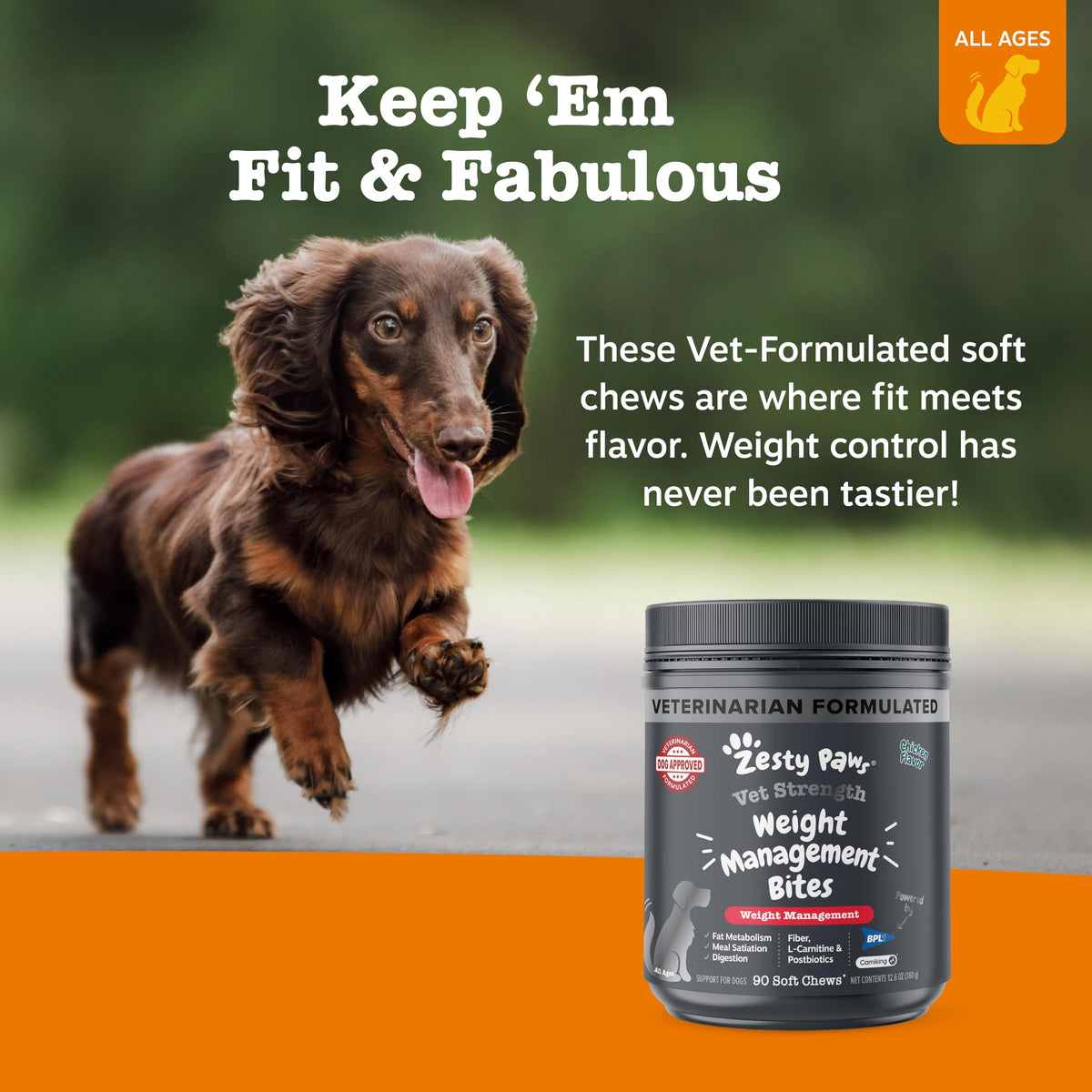 90 Count Dog Weight Management Supplement C62494